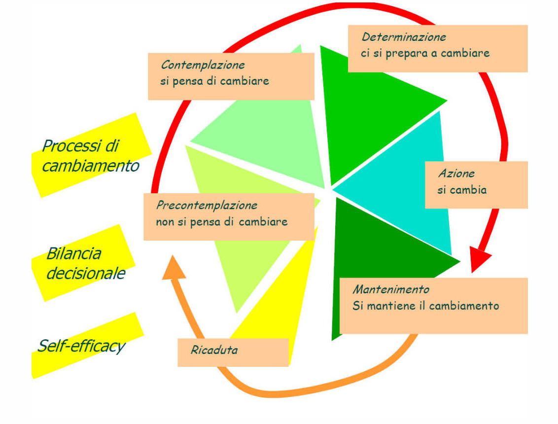 counseling nutrizionale: gli stadi del cambiamento